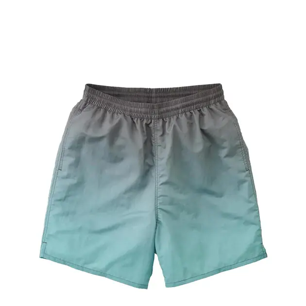 Kracherpreis Gramicci Tide Swim Short Blue Gradient